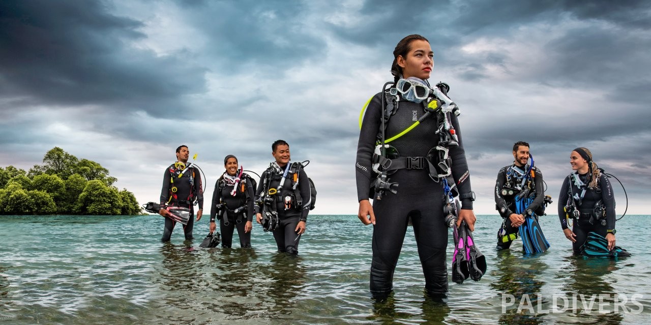 إعلان تأسيس مجموعة “بال دايفرز” PalDivers Group