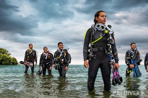 إعلان تأسيس مجموعة “بال دايفرز” PalDivers Group