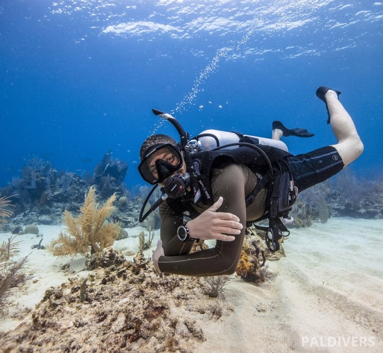 دورة غواص مياه مفتوحة – PADI Open Water Diver