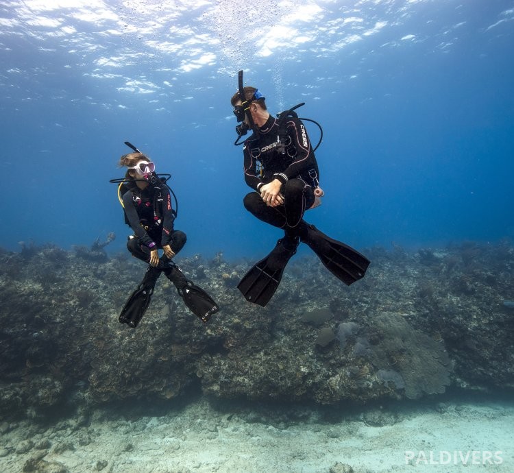 دورة التحكم المثالي بالطفو – PADI Peak Performance Buoyancy