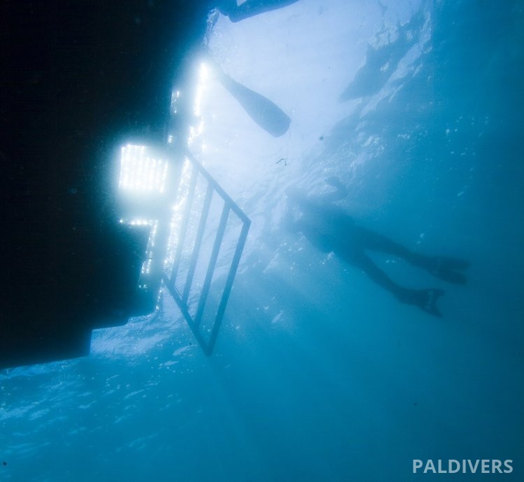 دورة تخصص الغوص من القوارب – PADI Boat Diver