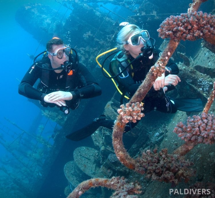 دورة تخصص الغوص على الحطام – PADI Wreck Diver