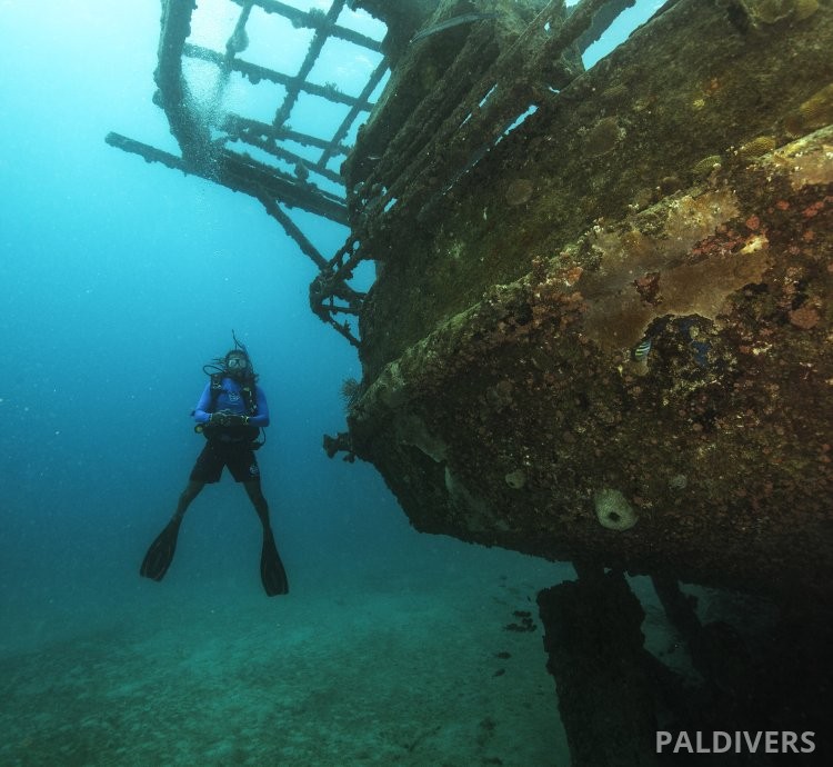 دورة تخصص الغوص على الحطام – PADI Wreck Diver
