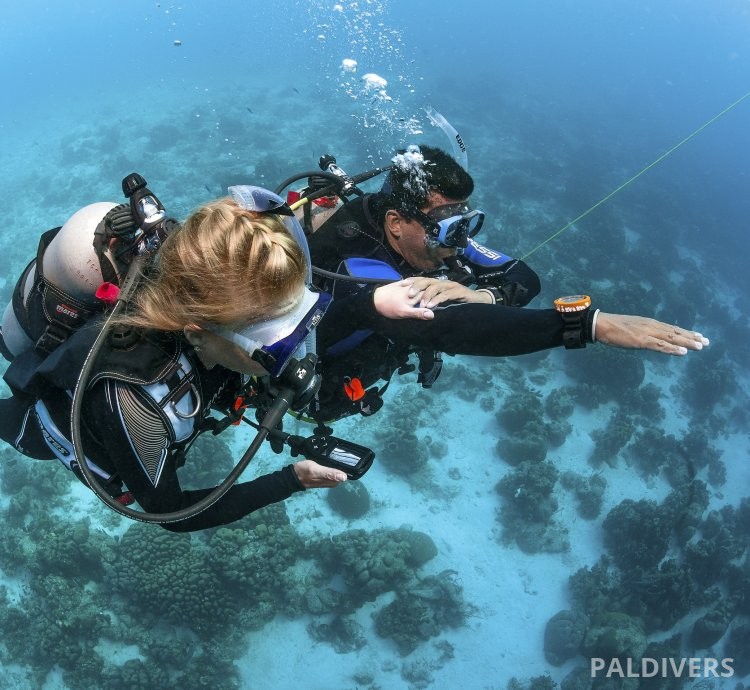 دورة تخصص الملاحة تحت الماء – PADI Underwater Navigator