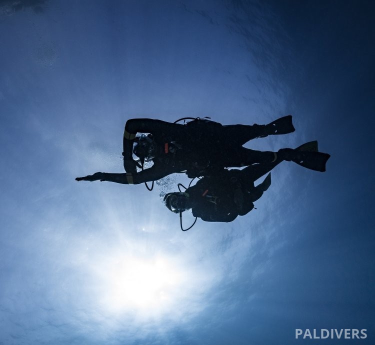دورة تخصص الملاحة تحت الماء – PADI Underwater Navigator
