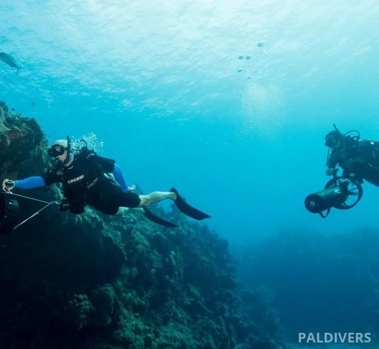 دورة تخصص السكوتر البحري – PADI Diver Propulsion Vehicle (DPV)