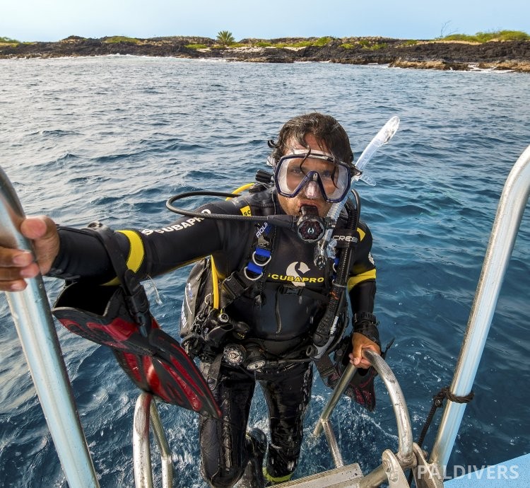 دورة مرشد غوص – PADI Divemaster