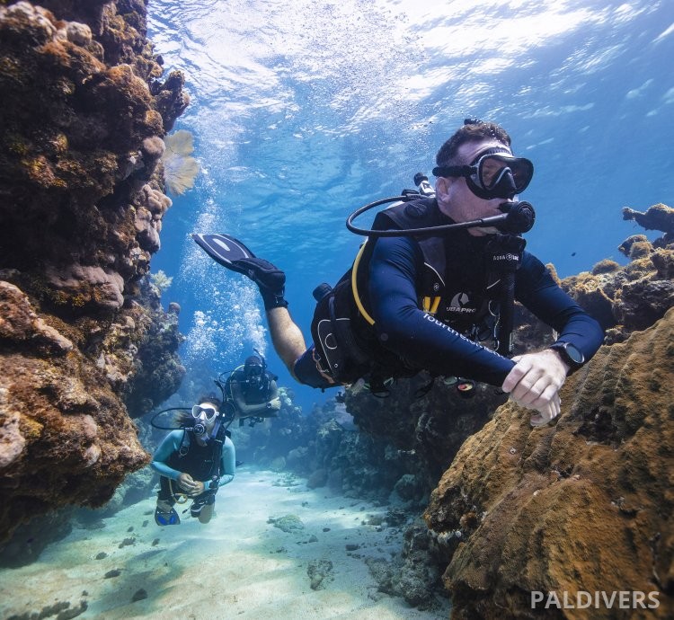 دورة مرشد غوص – PADI Divemaster