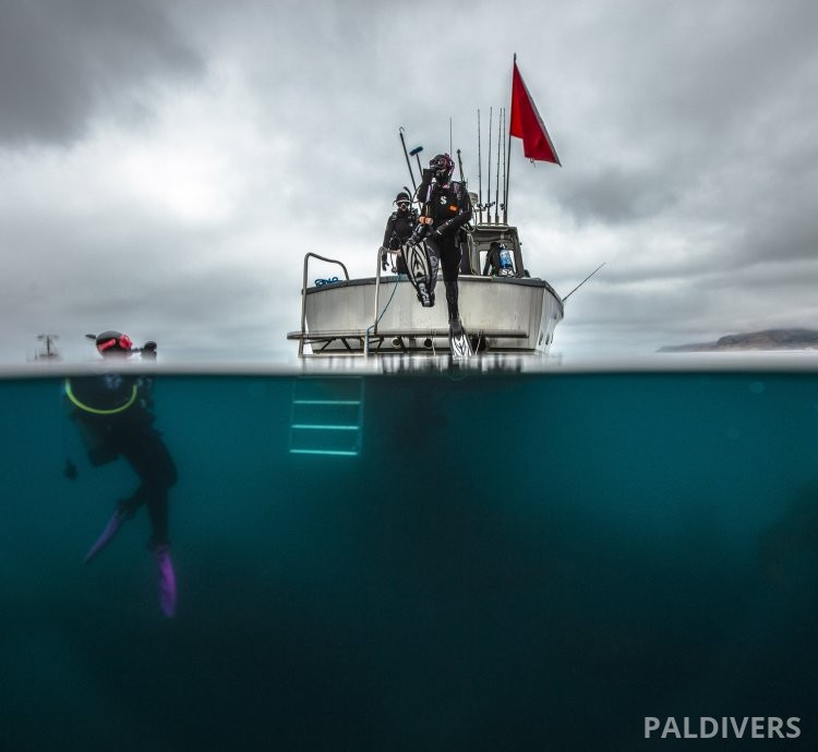 برنامج مرشد غوص المدمج – EFR + Rescue Diver + Divemaster