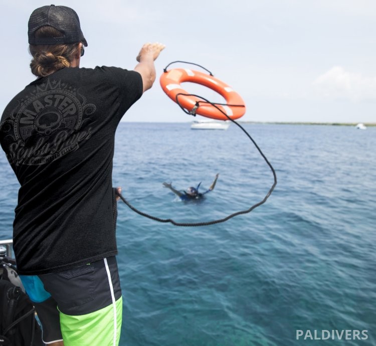 برنامج مرشد غوص المدمج – EFR + Rescue Diver + Divemaster