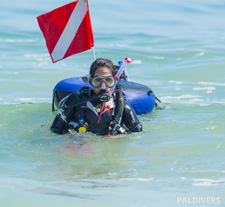 برنامج مرشد غوص المدمج – EFR + Rescue Diver + Divemaster