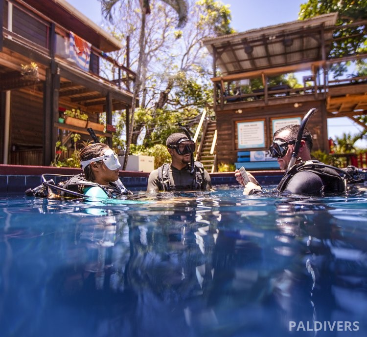 برنامج مساعد مدرب – PADI Assistant Instructor