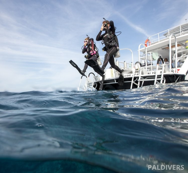برنامج مدرب تخصصات – PADI Specialty Instructor