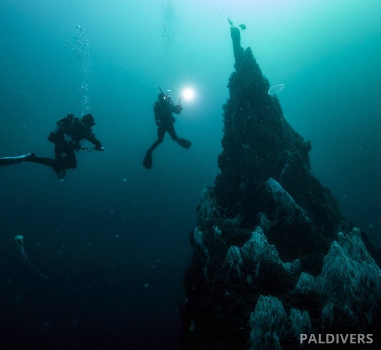 برنامج مدرب تخصصات – PADI Specialty Instructor