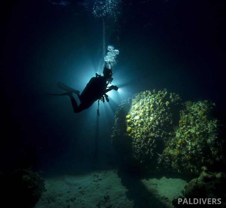 برنامج مدرب تخصصات – PADI Specialty Instructor