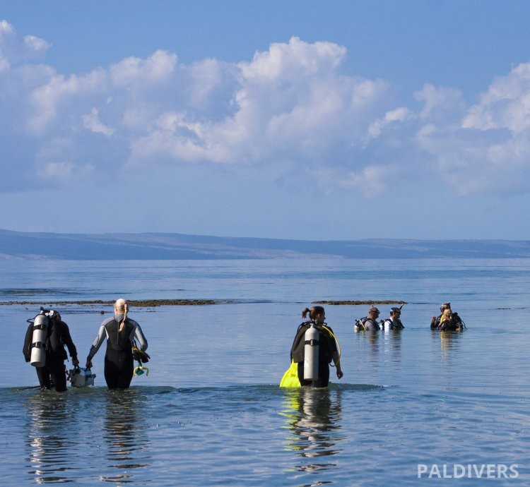 برنامج مدرب غواص سكوبا رئيسي – PADI Master Scuba Diver Trainer (MSDT)