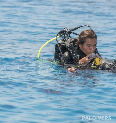 دورة غواص إنقاذ – PADI Rescue Diver