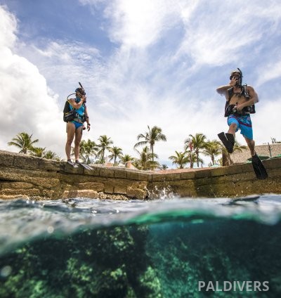 برنامج تنشيط الغوص – PADI ReActivate Scuba Refresher