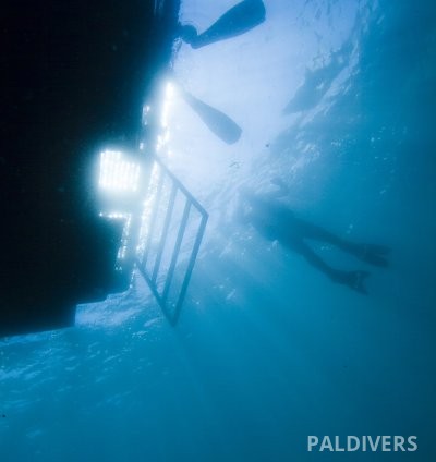 دورة تخصص الغوص من القوارب – PADI Boat Diver