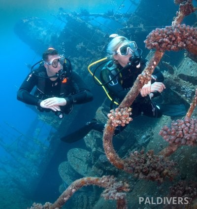 دورة تخصص الغوص على الحطام – PADI Wreck Diver