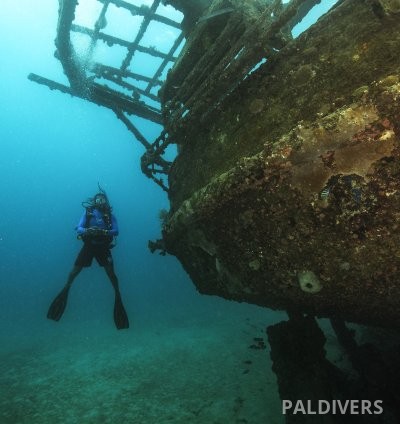 دورة تخصص الغوص على الحطام – PADI Wreck Diver