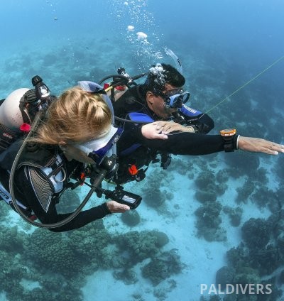 دورة تخصص الملاحة تحت الماء – PADI Underwater Navigator