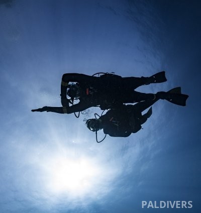 دورة تخصص الملاحة تحت الماء – PADI Underwater Navigator