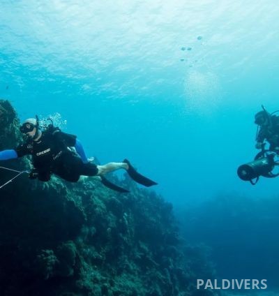 دورة تخصص السكوتر البحري – PADI Diver Propulsion Vehicle (DPV)