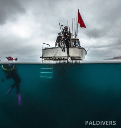 دورة مرشد غوص – PADI Divemaster 6