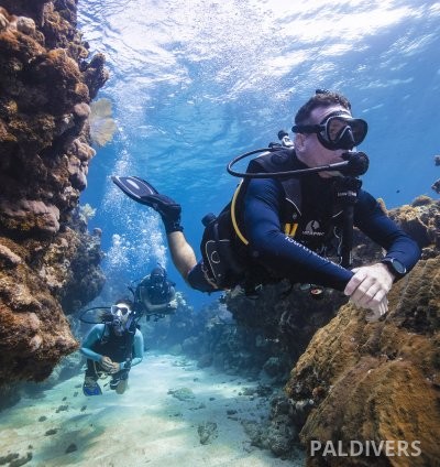 دورة مرشد غوص – PADI Divemaster 3