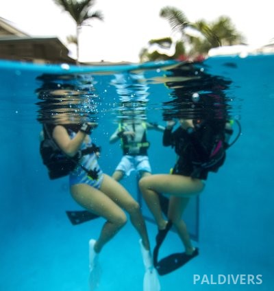دورة مرشد غوص – PADI Divemaster