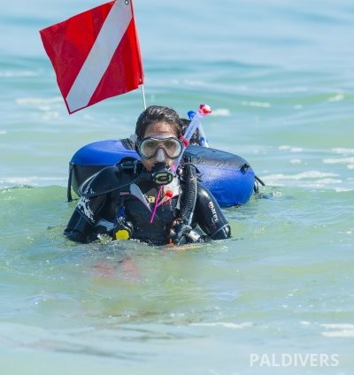 برنامج مرشد غوص المدمج – EFR + Rescue Diver + Divemaster