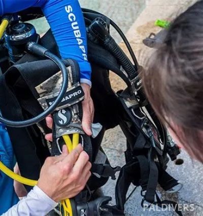 برنامج مساعد مدرب – PADI Assistant Instructor