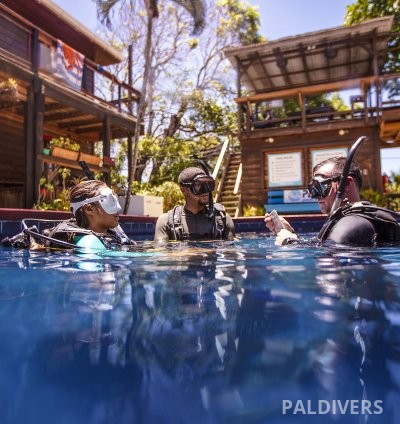 برنامج مدرب غواص مياه مفتوحة – PADI Open Water Scuba Instructor (OWSI)