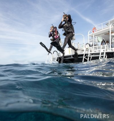 برنامج مدرب تخصصات – PADI Specialty Instructor 6