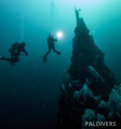 برنامج مدرب تخصصات – PADI Specialty Instructor 5