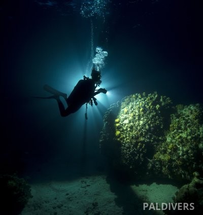 برنامج مدرب تخصصات – PADI Specialty Instructor