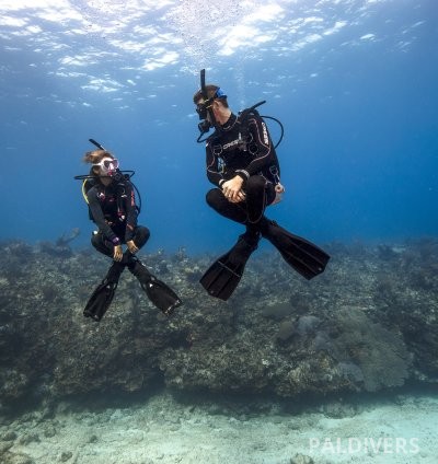 برنامج مدرب تخصصات – PADI Specialty Instructor