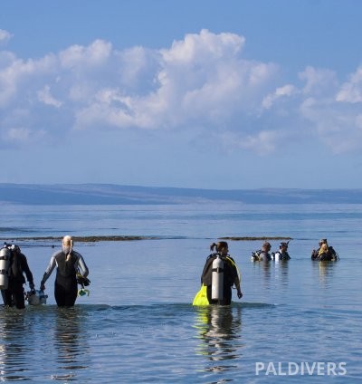 برنامج مدرب غواص سكوبا رئيسي – PADI Master Scuba Diver Trainer (MSDT)